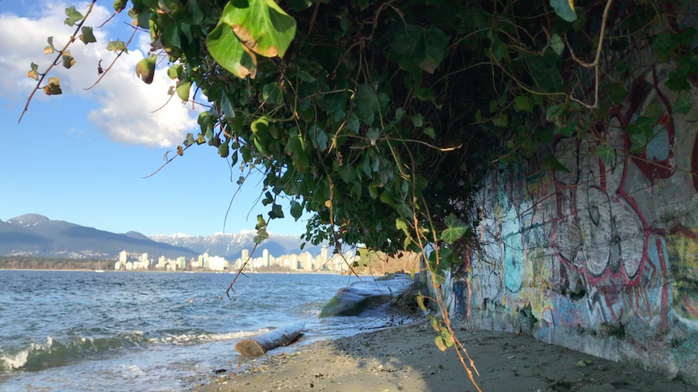 Downtown Vancouver Skyline from Kitsilano - Nicole Fu