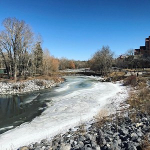 Prince's Island Park, Calgary by Nicole Fu